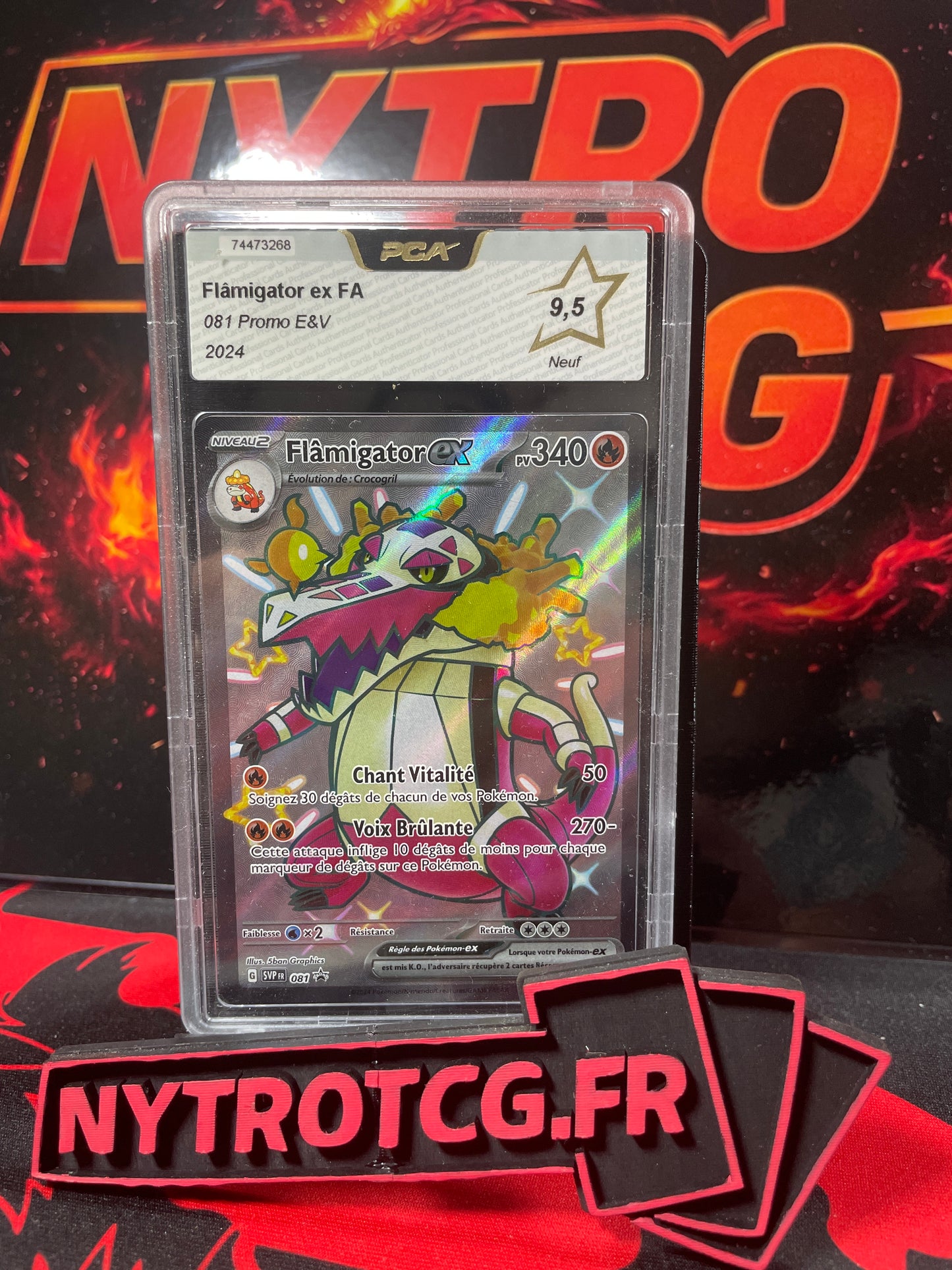 Flamigator EX FA gradée PCA 9.5 (Promo EV 2024)